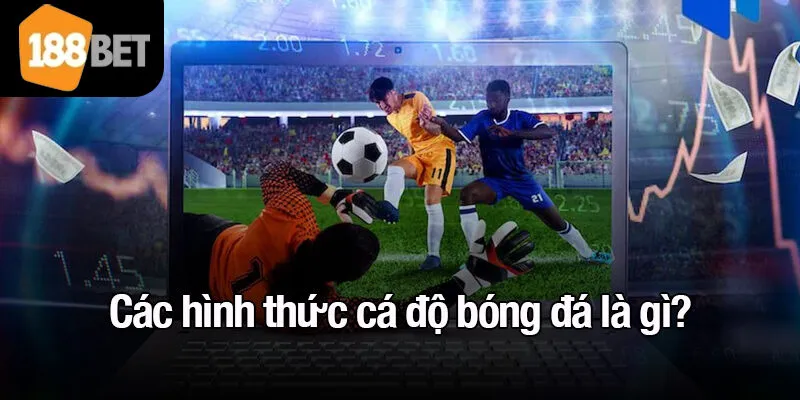 Các hình thức cá độ bóng đá là gì?
