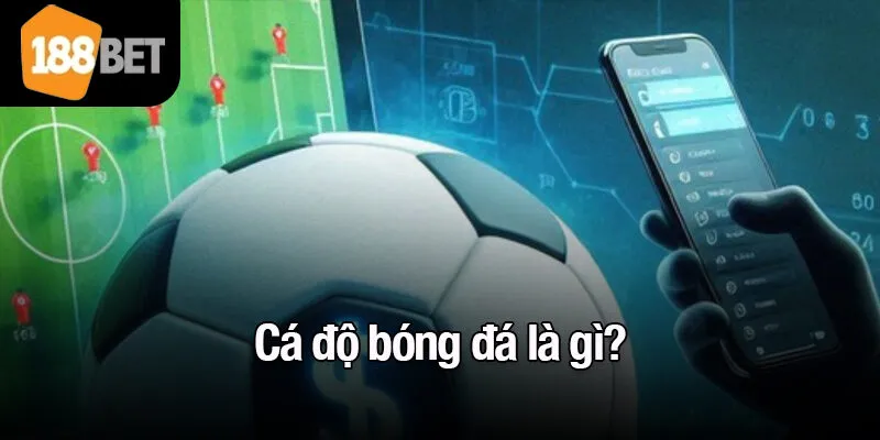 Cá độ bóng đá là gì