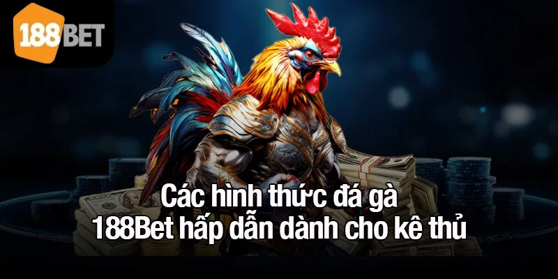 Các hình thức đá gà 188Bet hấp dẫn dành cho kê thủ