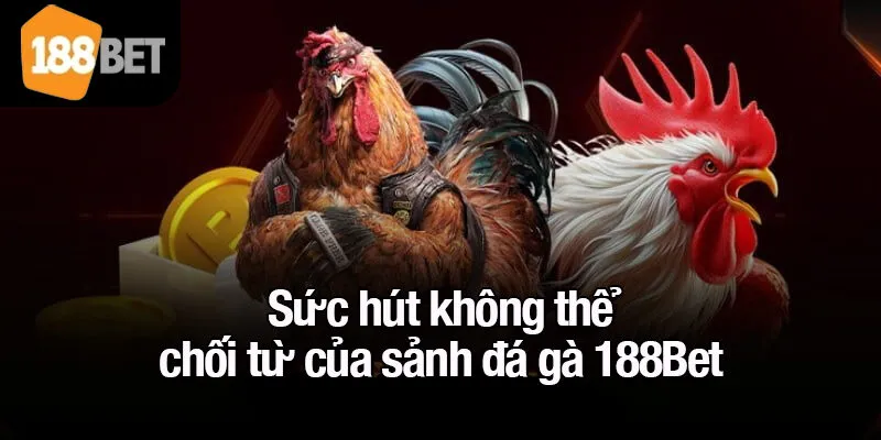 Sức hút không thể chối từ của sảnh đá gà 188Bet