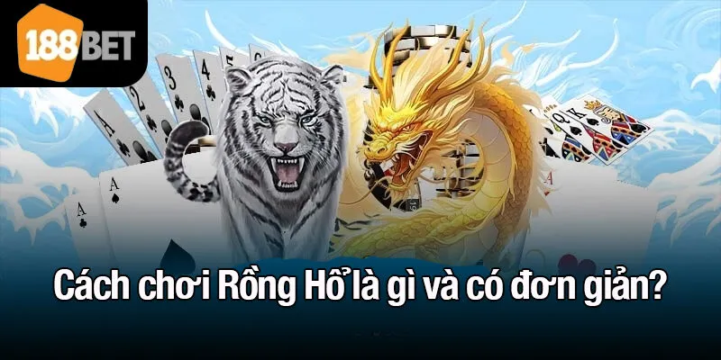 Cách chơi Rồng Hổ là gì và có đơn giản?